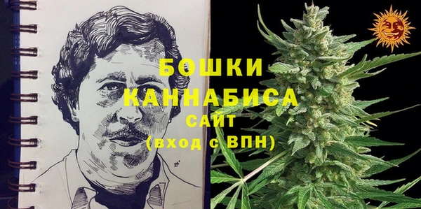 дживик Медвежьегорск
