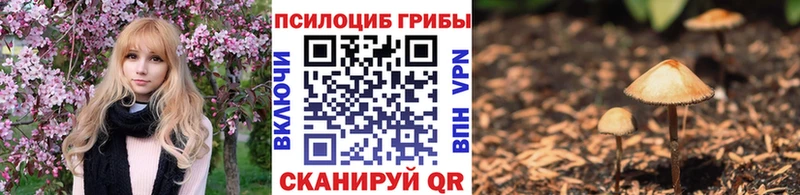 Галлюциногенные грибы ЛСД Обоянь