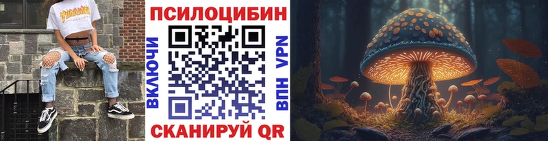 Купить где  Обоянь  Галлюциногенные грибы Psilocybine cubensis 